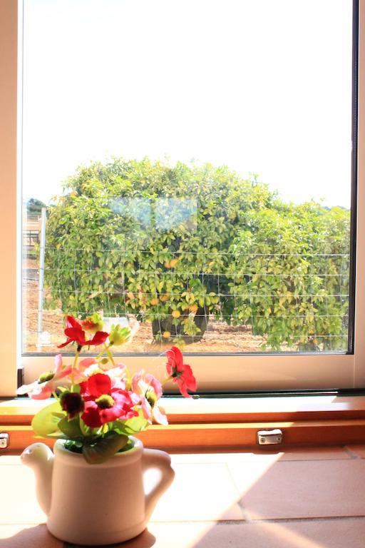 Tapada Dos Machados Guest House Donalda Phòng bức ảnh